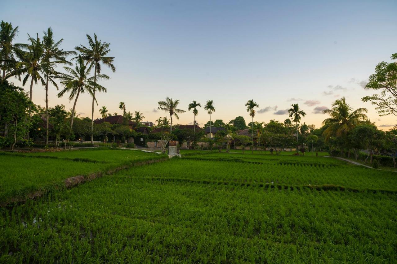 Agung Raka Villa Убуд Экстерьер фото